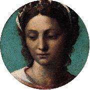 Sebastiano del Piombo Head of a Woman oil painting reproduction
